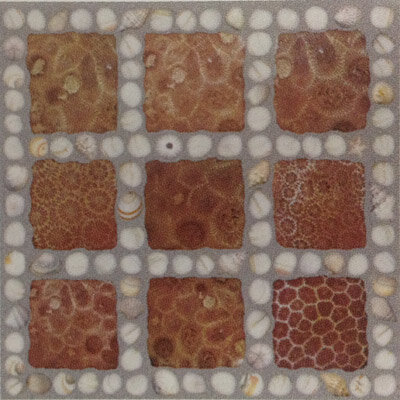 gach-dong-tam-40x40-dt5050truongsavn