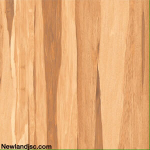 Gach-men-su-KT-600x600mm-MT-03.600600.08205