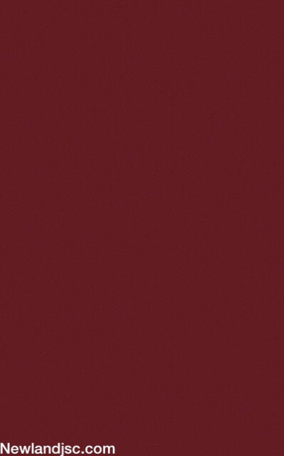 Gach-prime-op-tuong-KT-250x400mm-MT-06.250400.02220