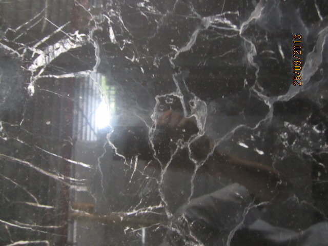 da-marble-black-rose-nl2-mb071