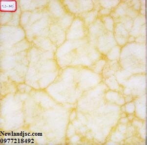 da-onyx-xuyen-sang-mt-dxs020