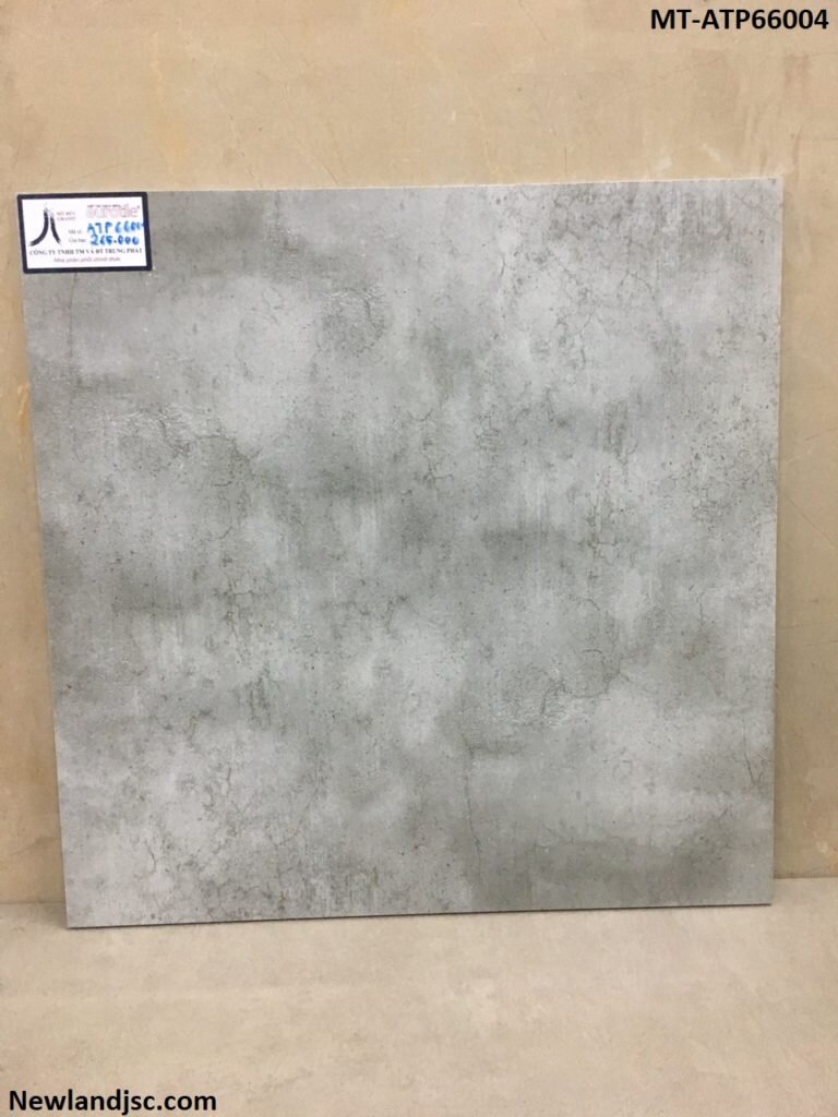 Gach-lat-nen-cao-cap-KT-600x600mm-MT-ATP66004