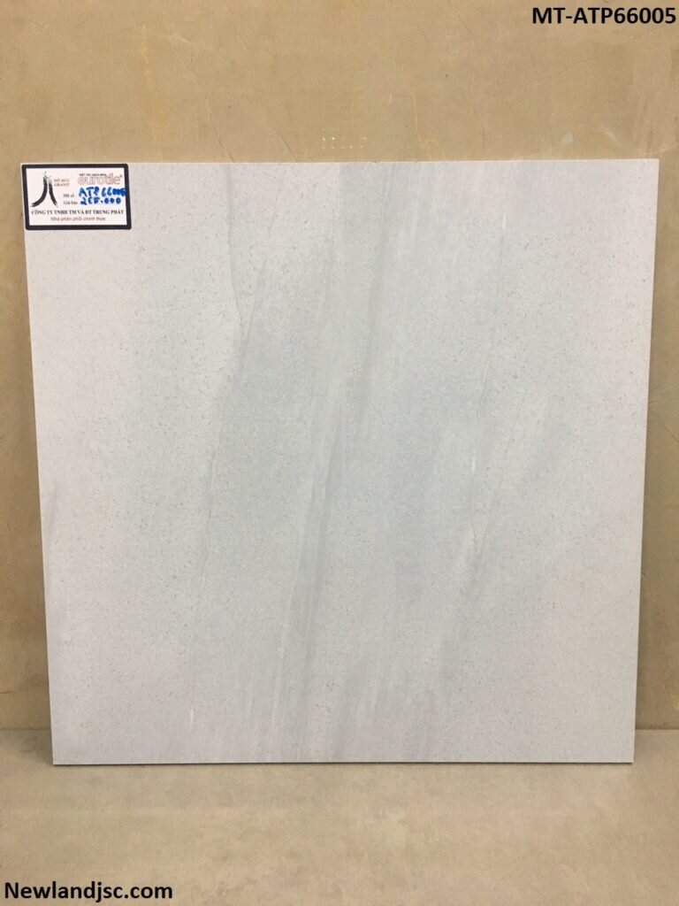 Gach-lat-nen-cao-cap-KT-600x600mm-MT-ATP66005