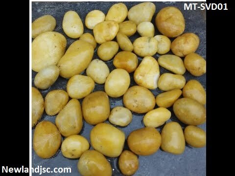 Soi-vang-dat-tu-nhien-MT-SVD01