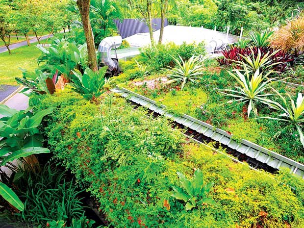 Thiet-ke-khu-vuon-tren-may-cho-ngoi-nha-cua-ban-1